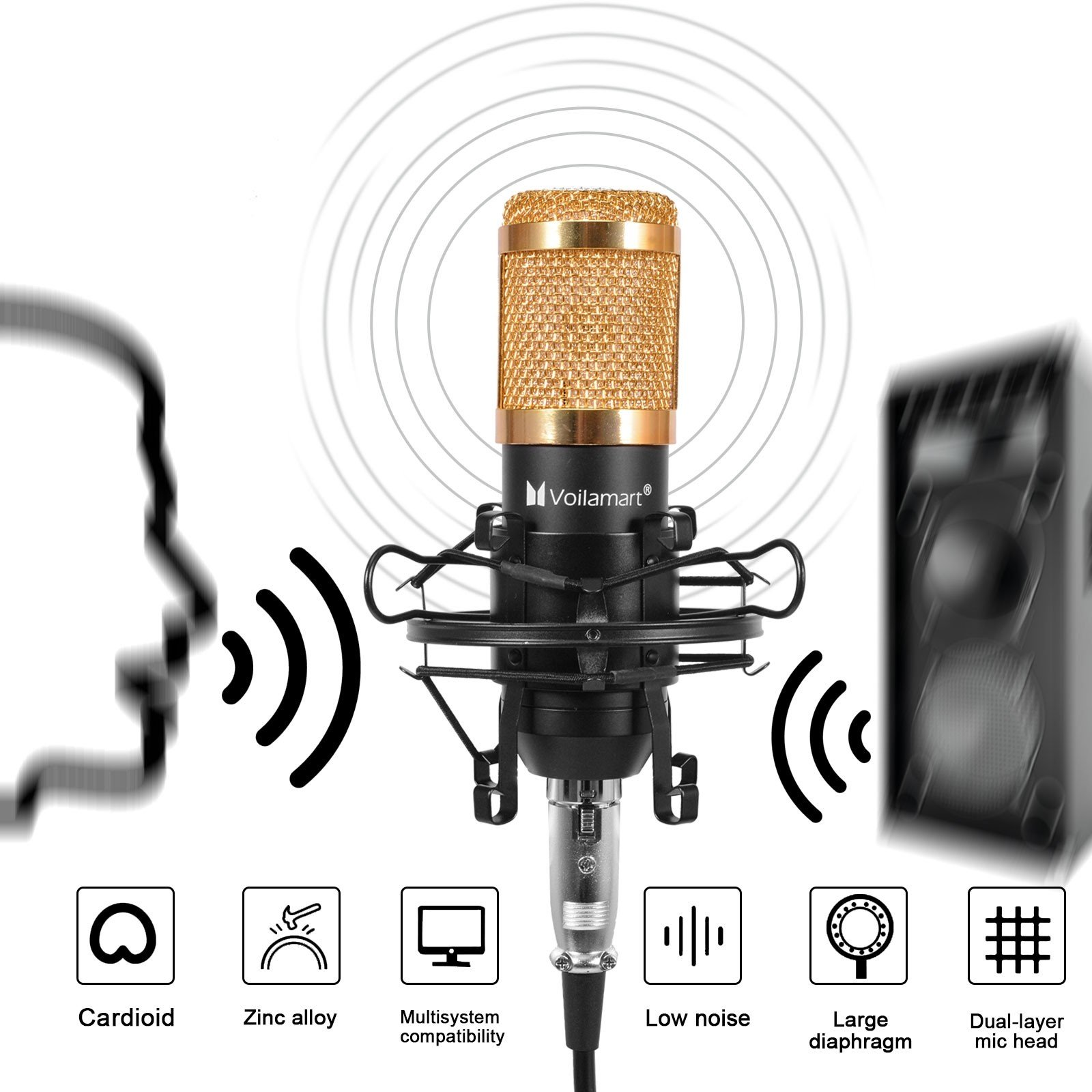 Generic SAI BM 800 Microphone De Studio Professionnel à
